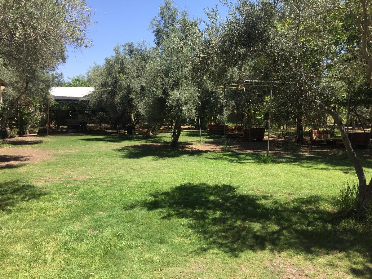Peace Tent Villa Kfar Rut Exterior photo