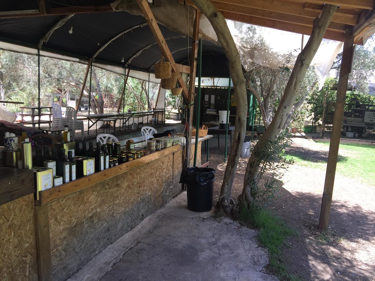 Peace Tent Villa Kfar Rut Exterior photo