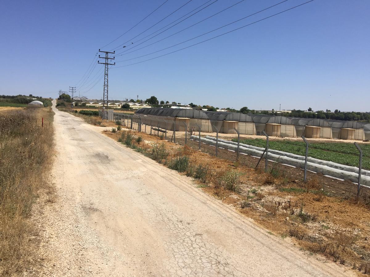 Peace Tent Villa Kfar Rut Exterior photo